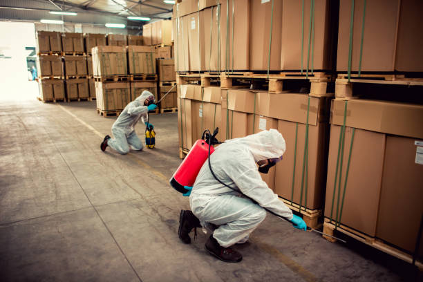 Best Local Pest Control Services  in Clyde, TX
