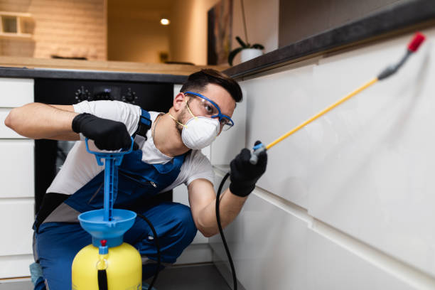 Flea Control Services in Clyde, TX