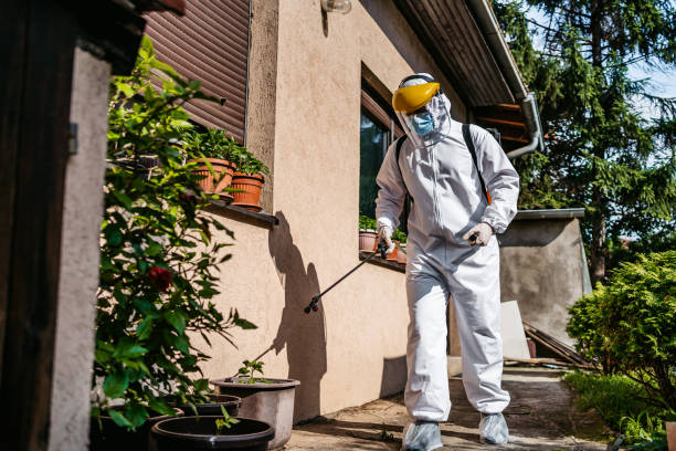 Wildlife Control Services in Clyde, TX