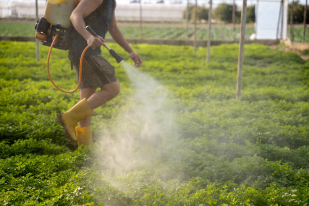 Best Pest Prevention Services  in Clyde, TX