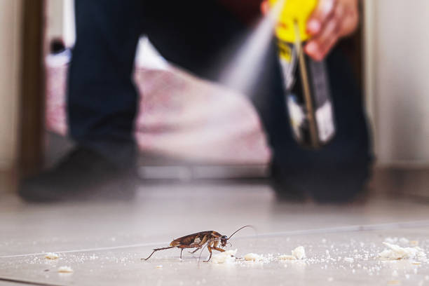 Best Cockroach Control Services  in Clyde, TX